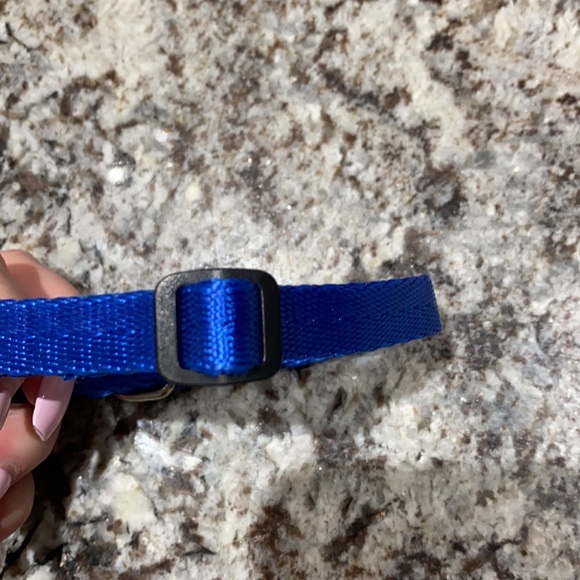 Blue adjustable dog or cat collar - Picture 3 of 3